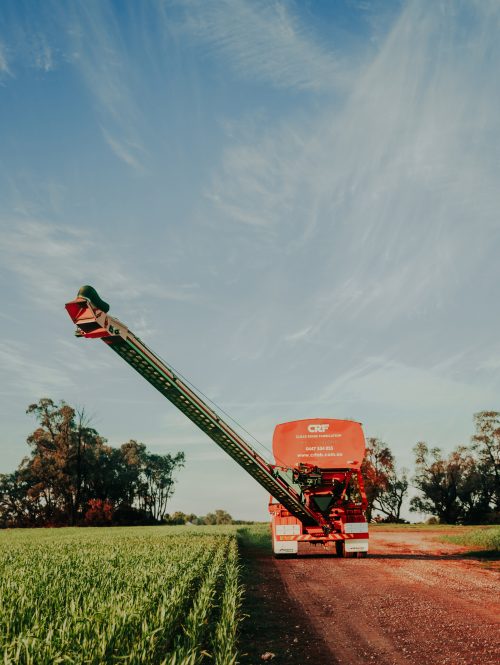 portrait view of a red chaser bin with its tube conveyor angled on a rice field